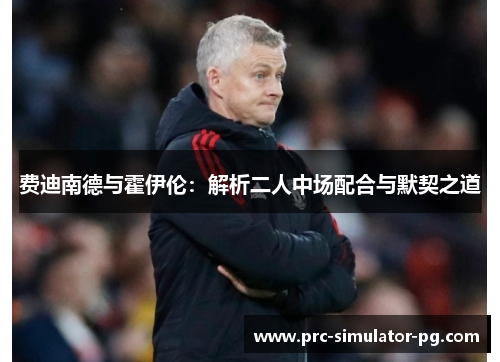 费迪南德与霍伊伦:解析二人中场配合与默契之道