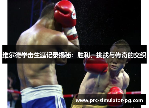 维尔德拳击生涯记录揭秘：胜利、挑战与传奇的交织