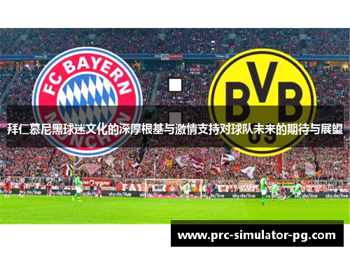 拜仁慕尼黑球迷文化的深厚根基与激情支持对球队未来的期待与展望