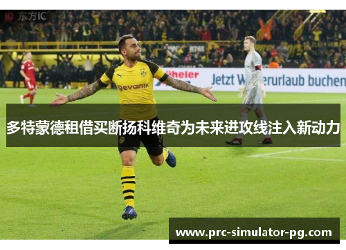 多特蒙德租借买断扬科维奇为未来进攻线注入新动力 多特蒙德租借买断扬科维奇为未来进攻线注入新动力