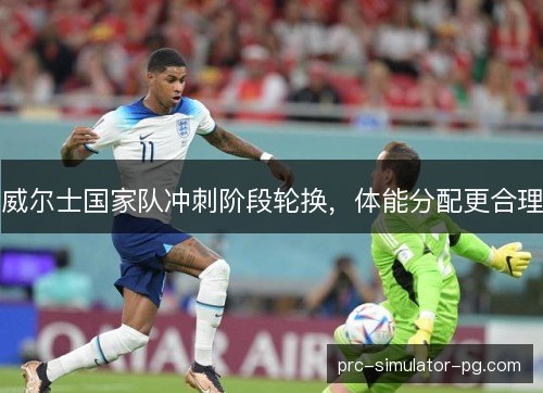 威尔士国家队冲刺阶段轮换，体能分配更合理